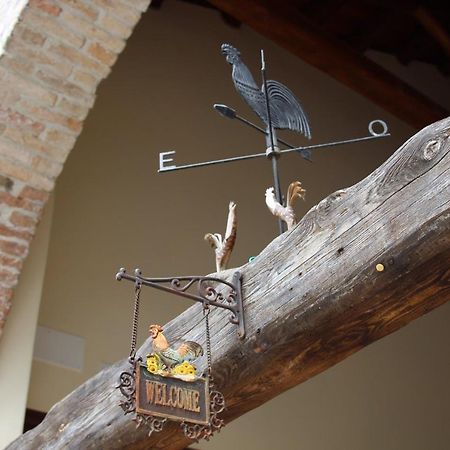 Il Canto Del Gallo B&B Zenson di Piave Eksteriør bilde