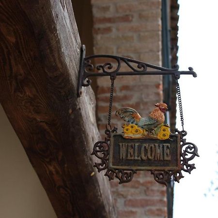Il Canto Del Gallo B&B Zenson di Piave Eksteriør bilde