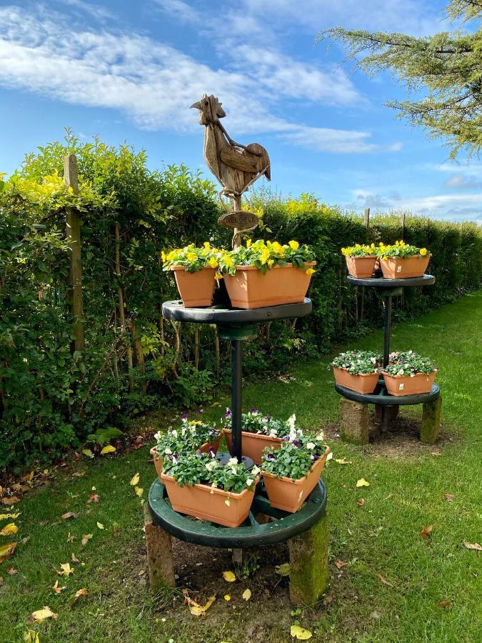 Il Canto Del Gallo B&B Zenson di Piave Eksteriør bilde