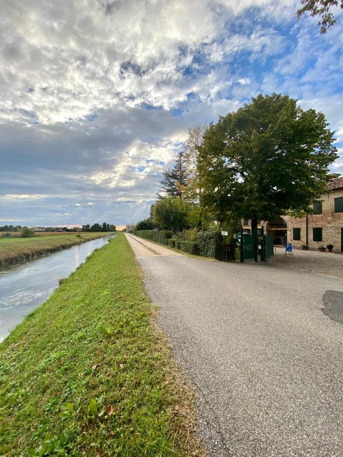 Il Canto Del Gallo B&B Zenson di Piave Eksteriør bilde